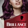 Schwarzkopf Brillance Intensiv-Color-Creme 859 Violette Wildseide