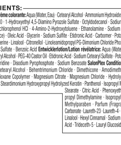 Syoss Professional Performance Permanente Coloration 4_22 Leuchtendes Rot -der Ankunftsshop MAM 6438660 SHOP IMAGE 2.0