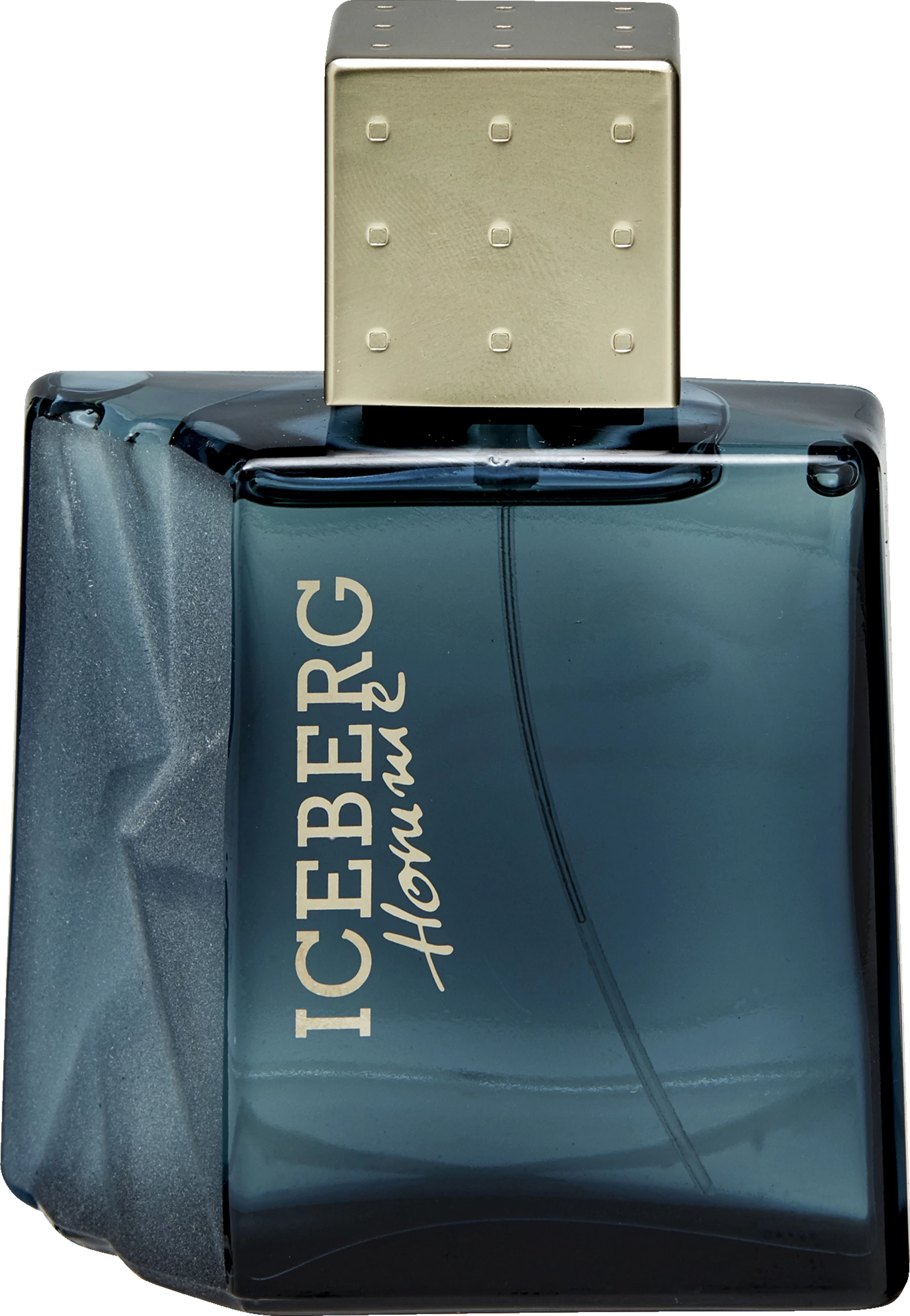 Iceberg Homme For Him, EdT 100 Ml 1 Iceberg Homme For Him, EdT 100 Ml