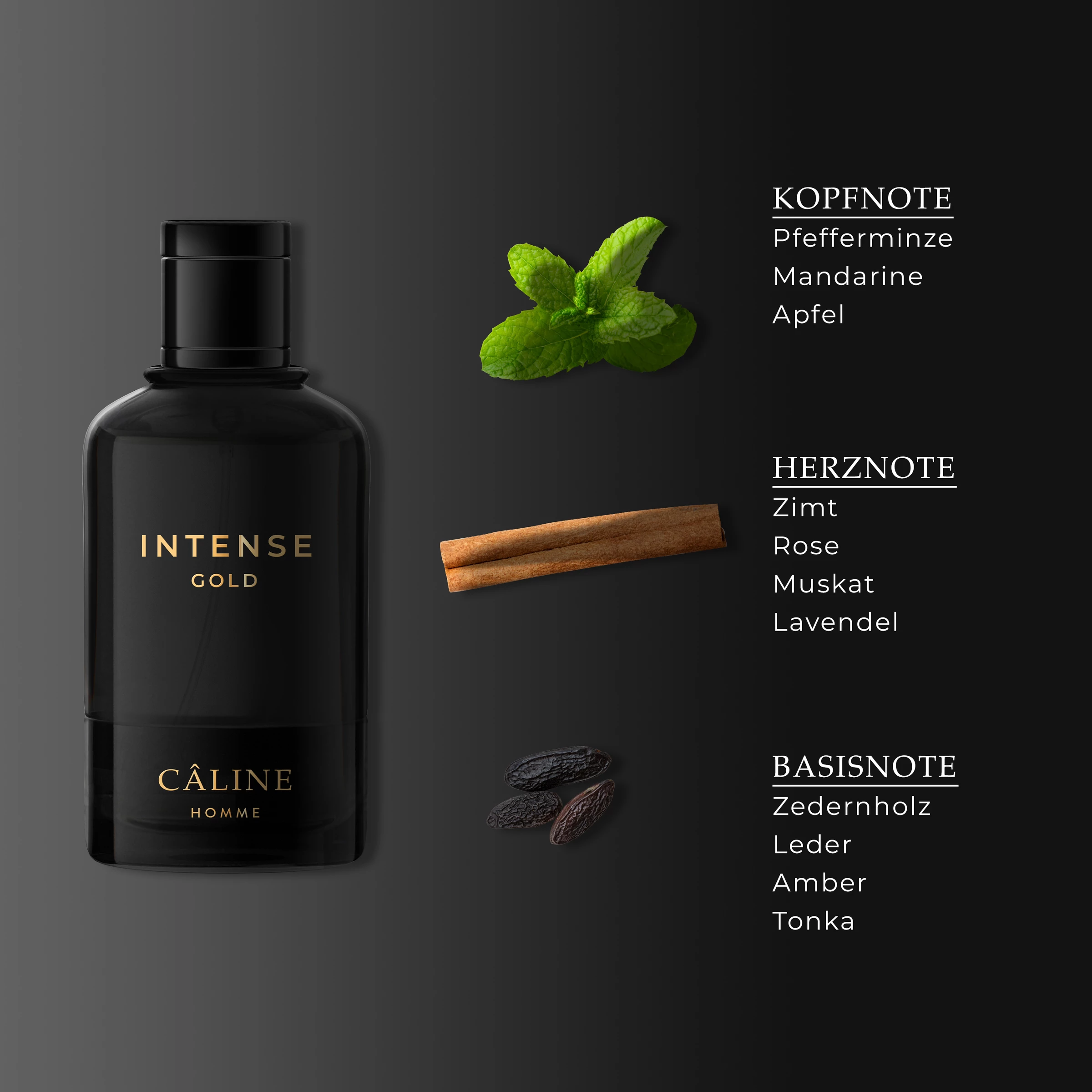 Câline Homme Intense Gold, EdT 60 Ml 3 Câline Homme Intense Gold, EdT 60 Ml – Bild 3