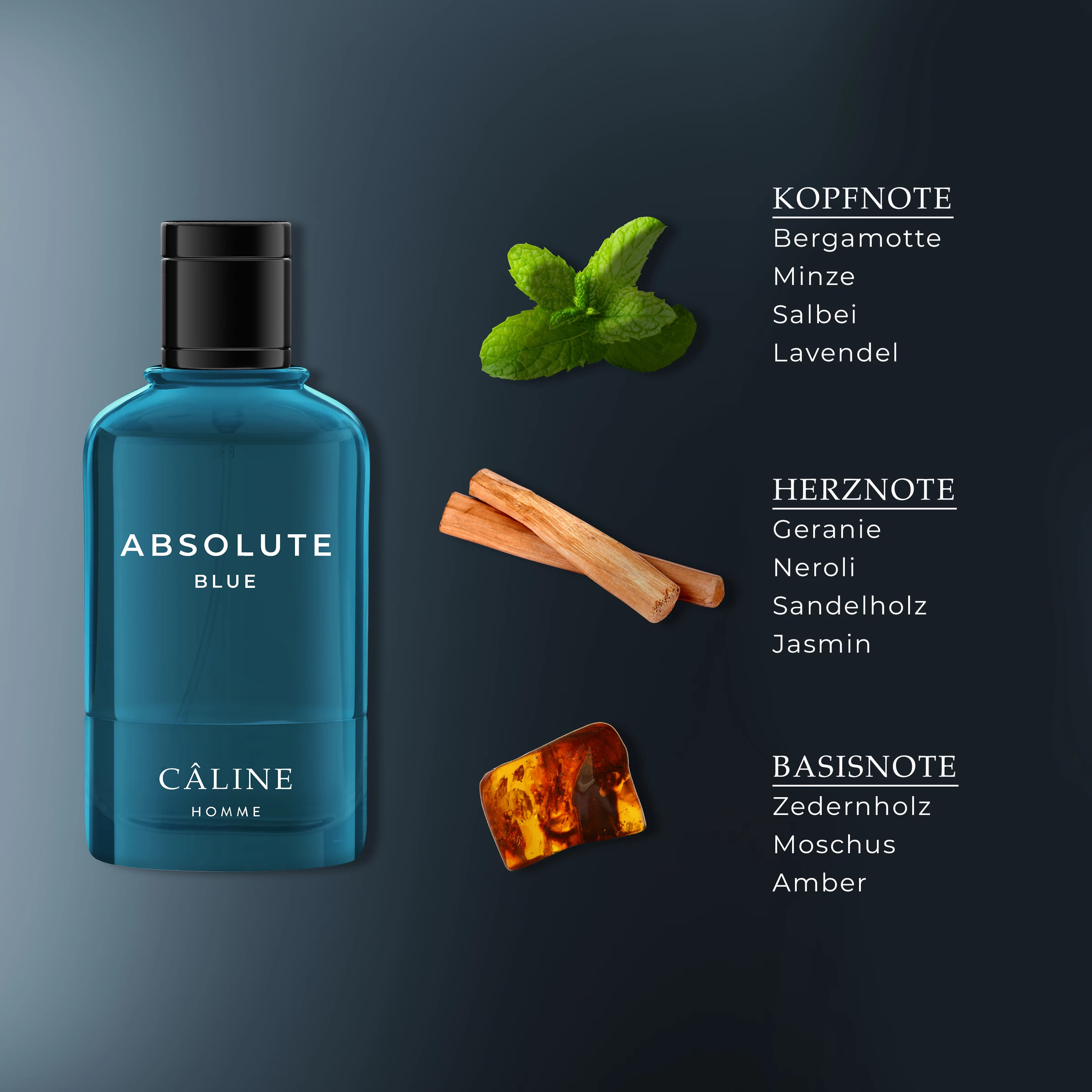 Câline Homme Absolute Blue, EdT 60 Ml 3 Câline Homme Absolute Blue, EdT 60 Ml – Bild 3