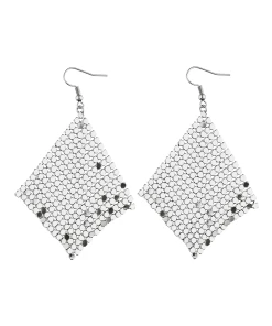 Accessories Ohrhänger In Silber